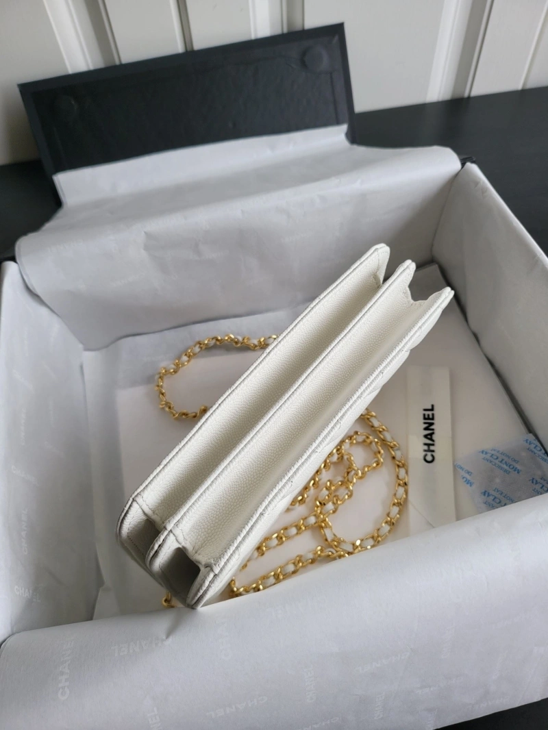 Chanel WOC Bags 4017-2040