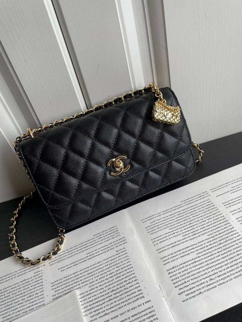 Chanel WOC Bags 4017-2041