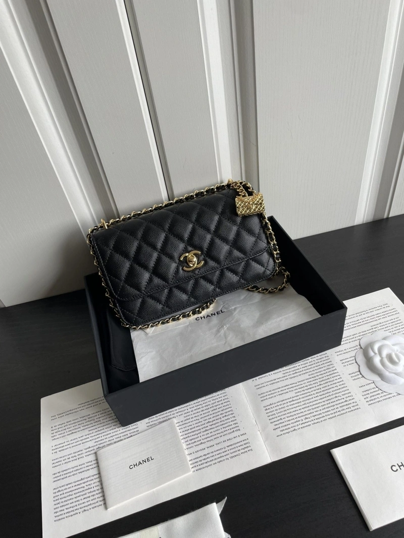 Chanel WOC Bags 4017-2041