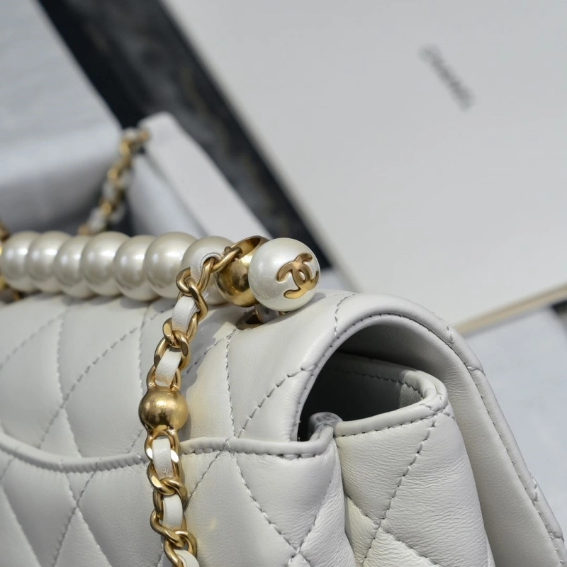 Chanel WOC Bags 4017-2132