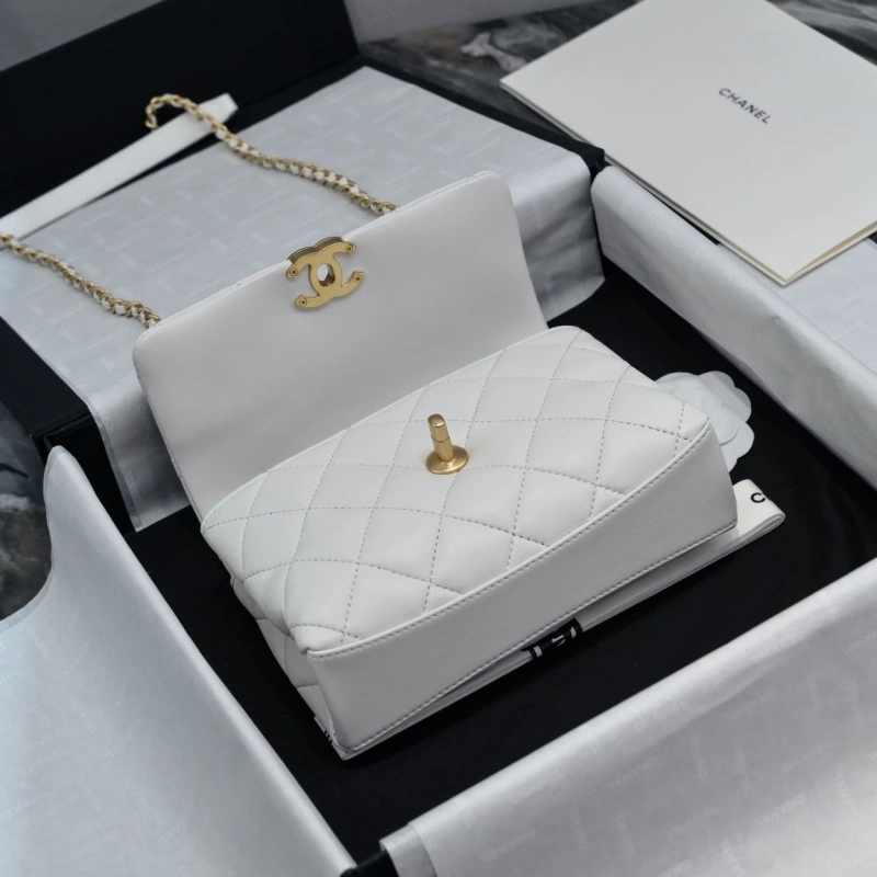Chanel WOC Bags 4017-2132