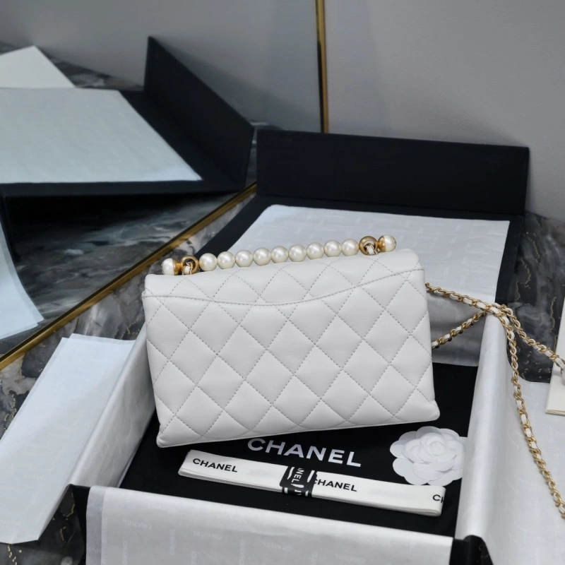 Chanel WOC Bags 4017-2136