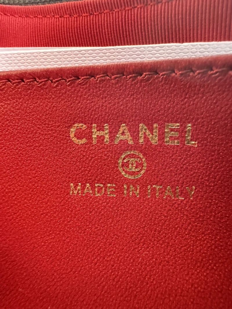 Chanel Satchel Bags 4017-2160