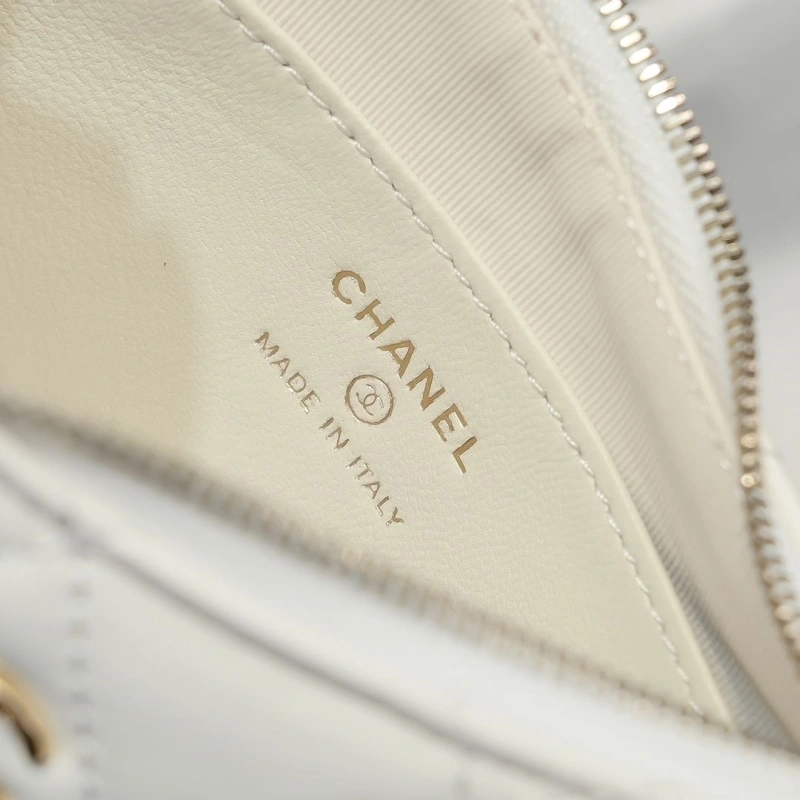 Chanel Satchel Bags 4017-2165