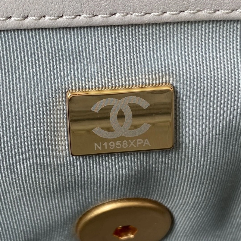 Chanel 19 Bags 4017-2219