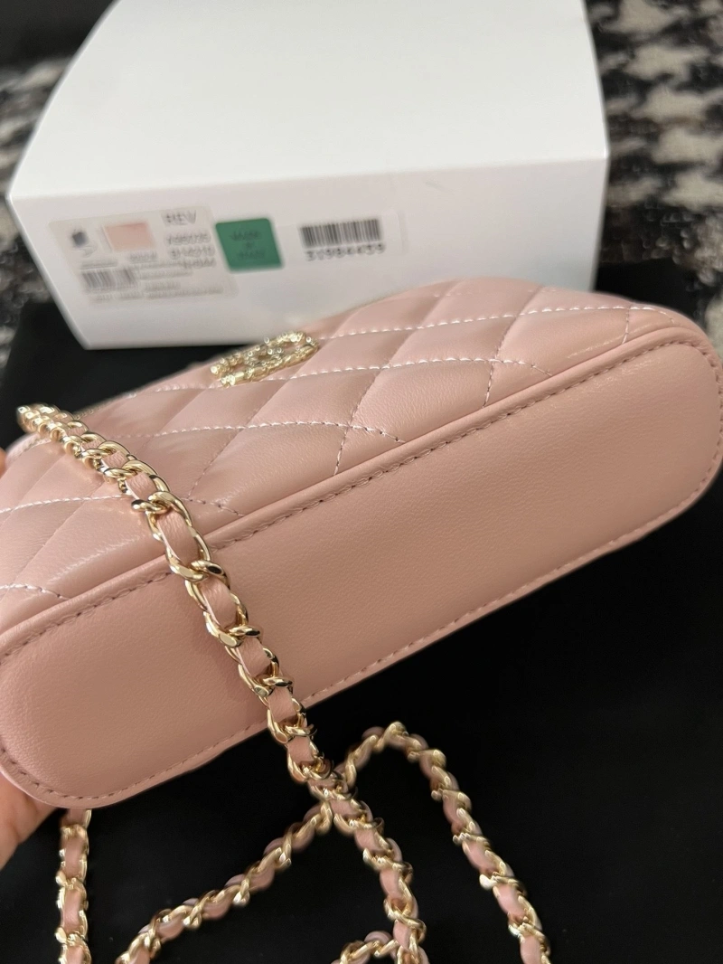 Chanel Cosmetic Bags 4017-2237