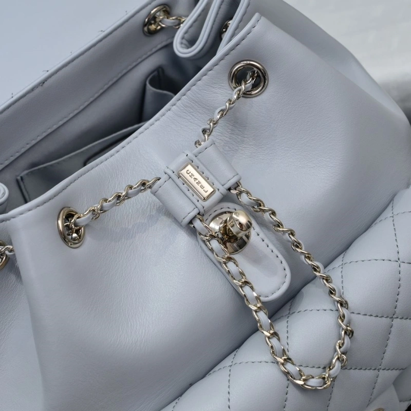 Chanel Backpacks 4017-2242