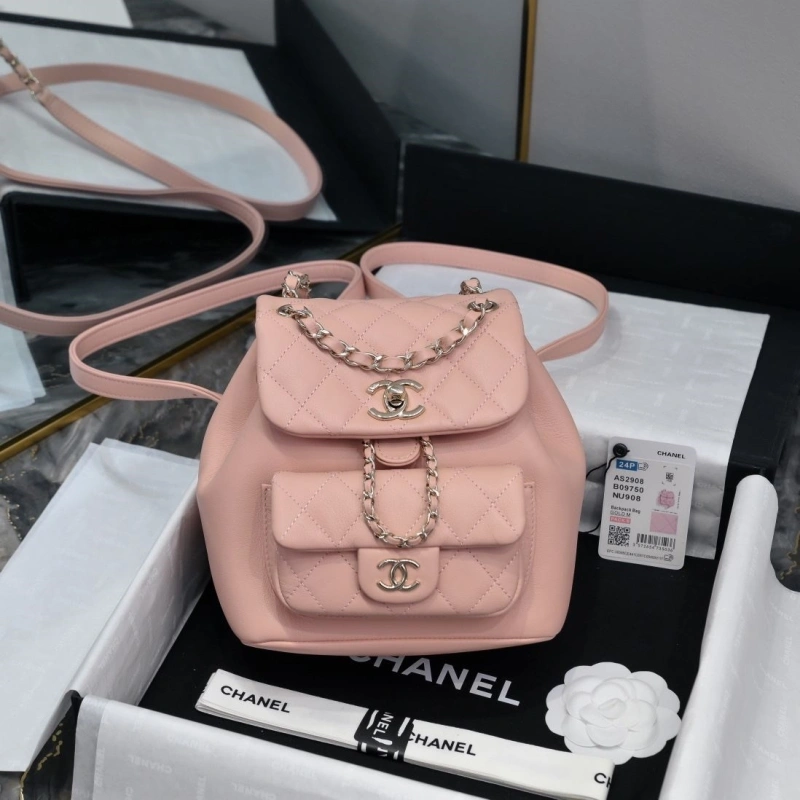 Chanel Backpacks 4017-2245