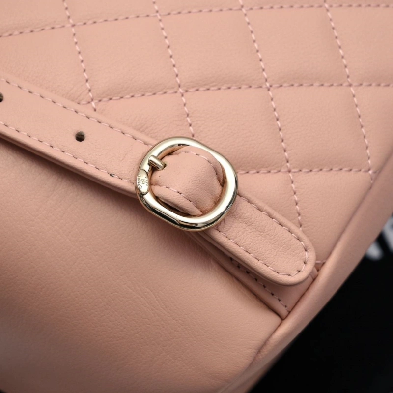 Chanel Backpacks 4017-2246