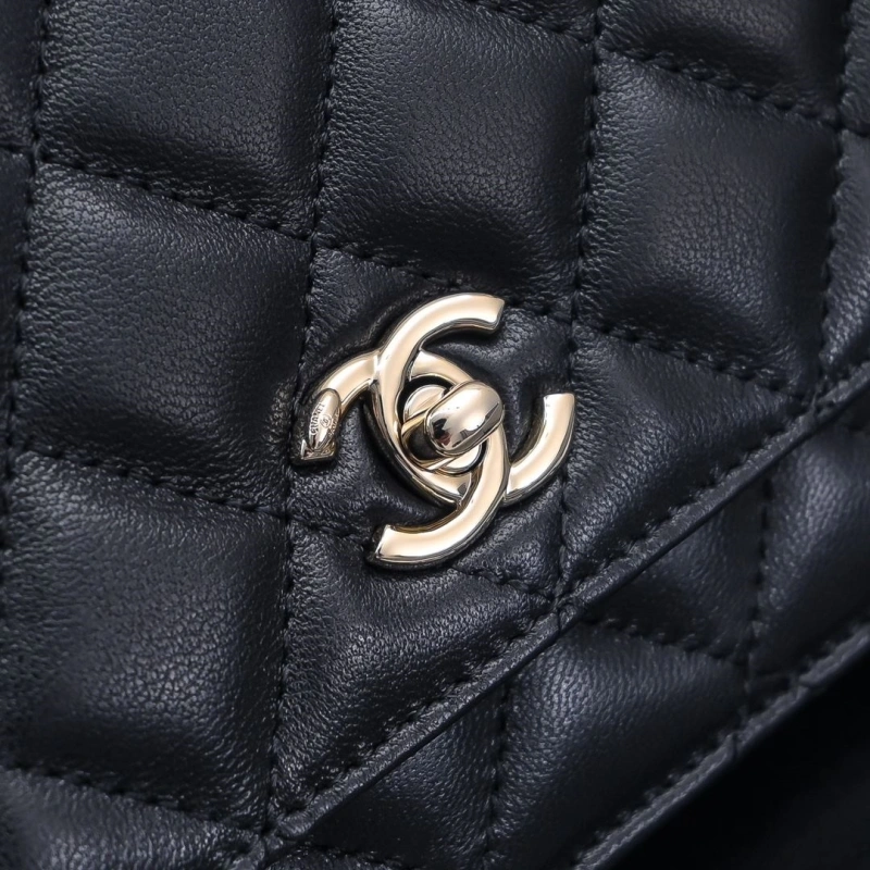 Chanel Satchel Bags 4017-2261