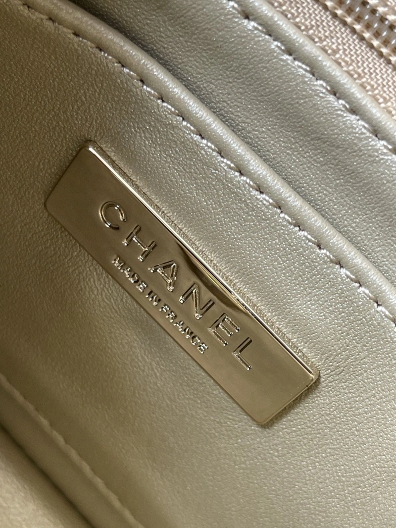 Chanel 19 Bags 4017B-0059