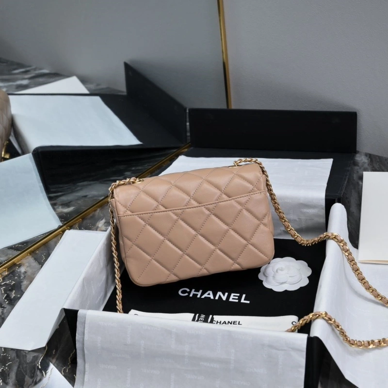 Chanel Satchel Bags 4017B-0069