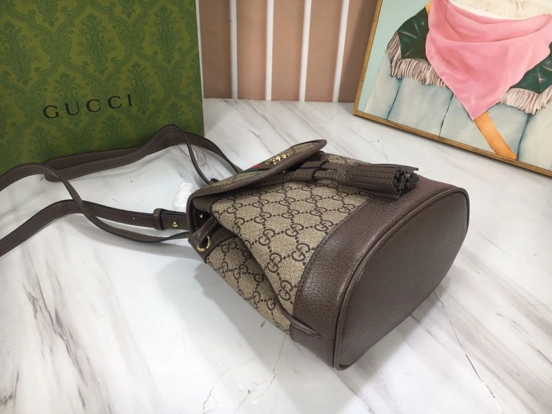 Gucci Backpacks 4032-1196