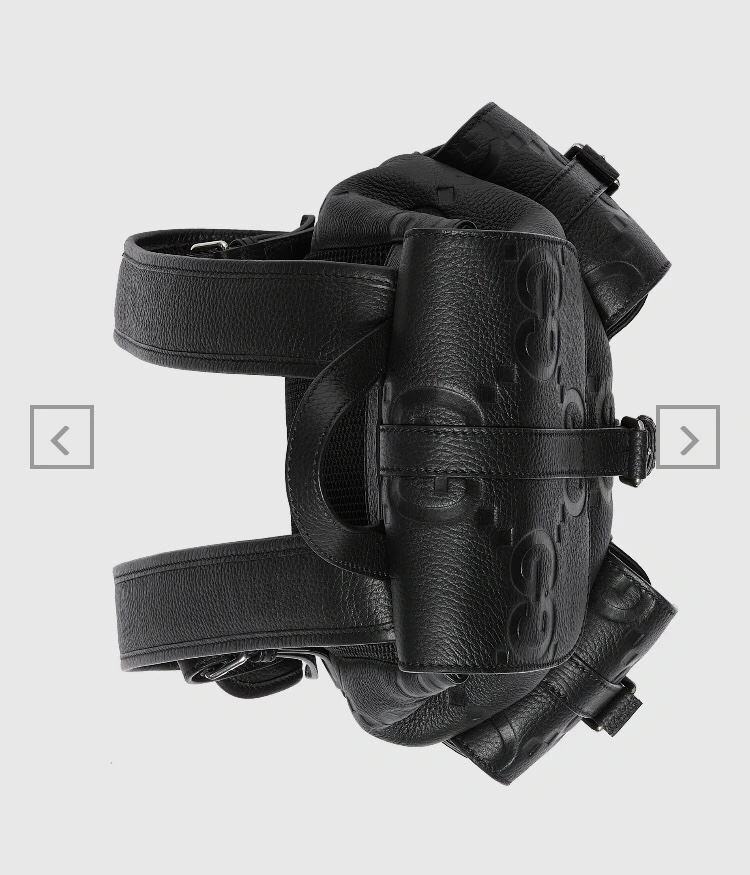 Gucci Backpacks 4033-0053