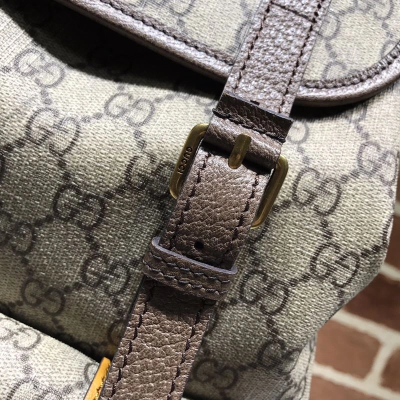 Gucci Backpacks 4033-0113