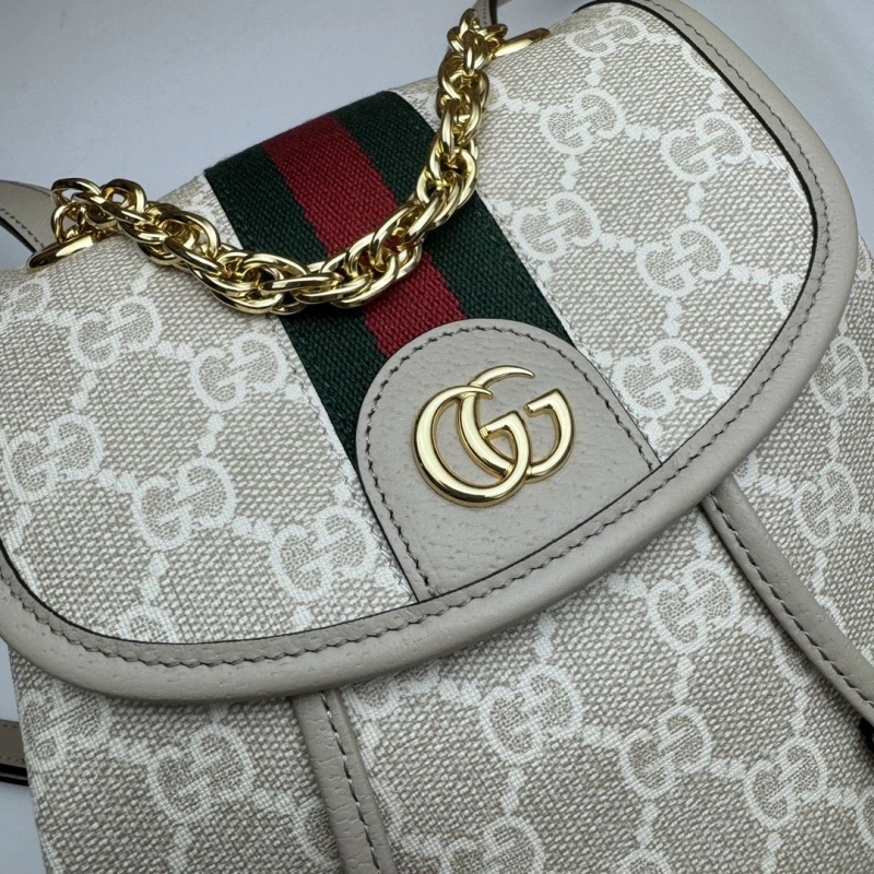 Gucci Backpacks 4033-0316