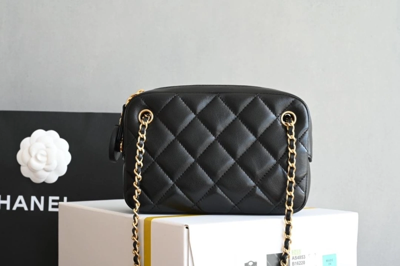 Chanel Satchel Bags 4035F-0014