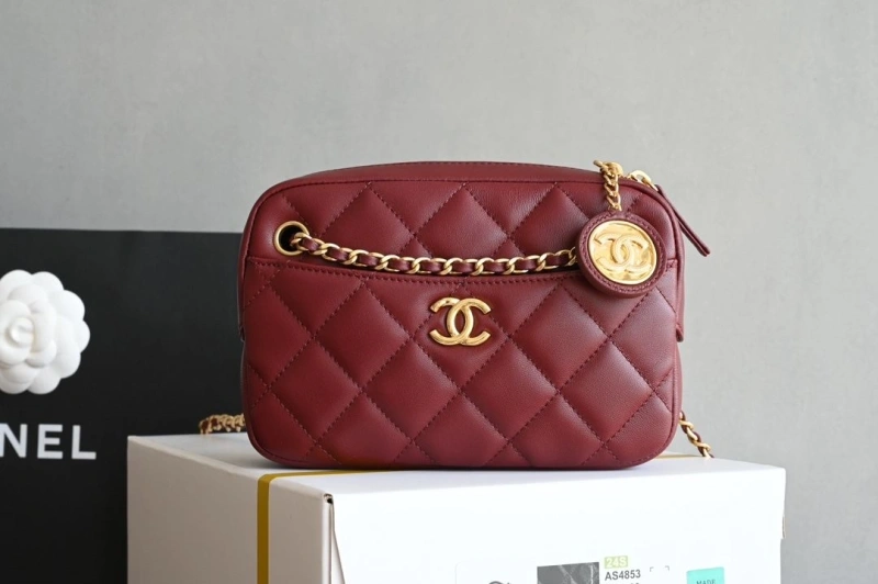 Chanel Satchel Bags 4035F-0015