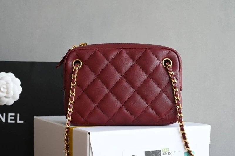 Chanel Satchel Bags 4035F-0015