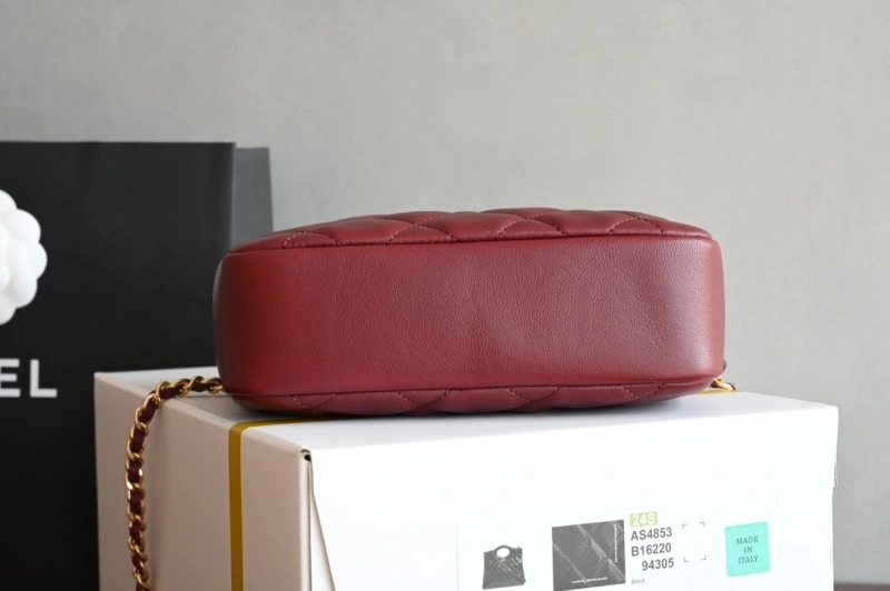 Chanel Satchel Bags 4035F-0015