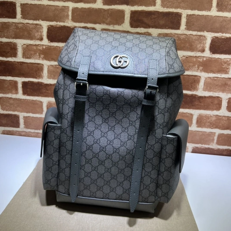 Gucci Backpacks 4036-0379