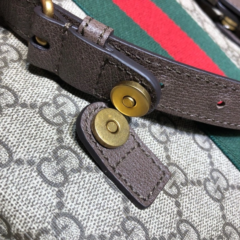 Gucci Backpacks 4036-0380