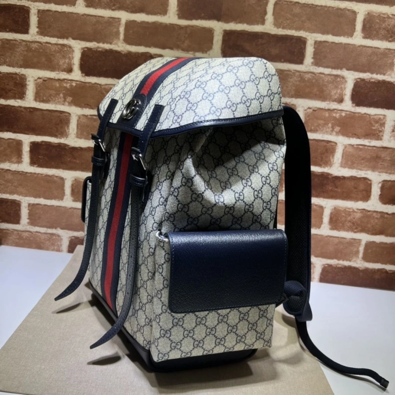 Gucci Backpacks 4036-0381