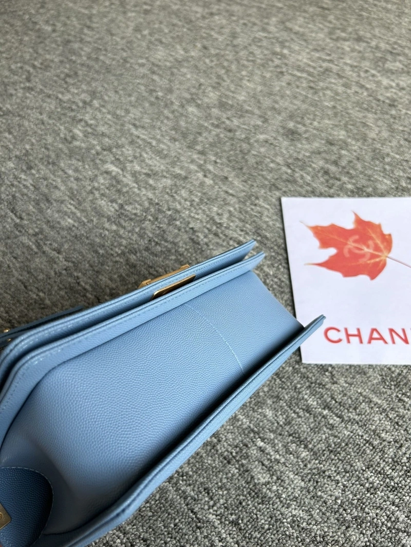 Chanel Leboy Series Bags 4046F-0127