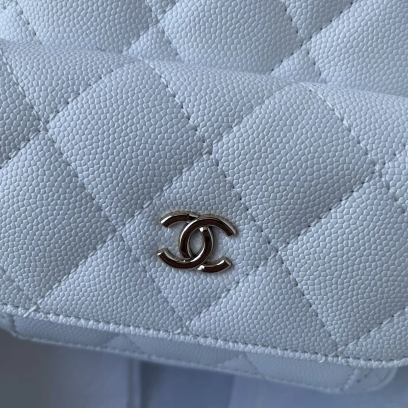Chanel Backpacks 4046F-0139