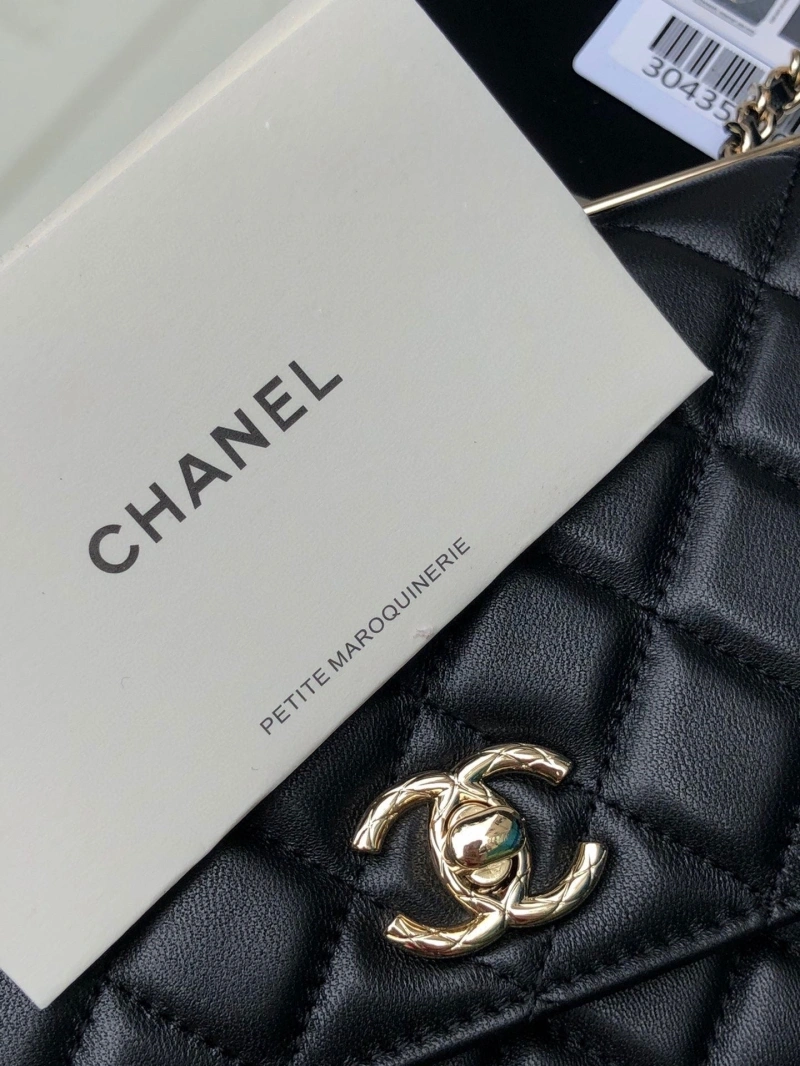 Chanel Satchel Bags 4046F-0150