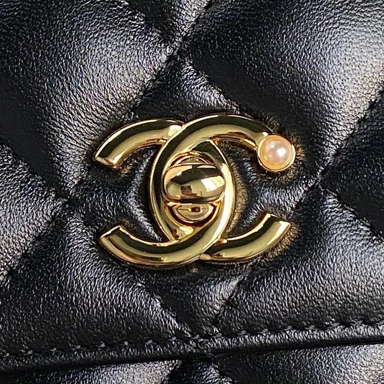Chanel Satchel Bags 4046H-0015