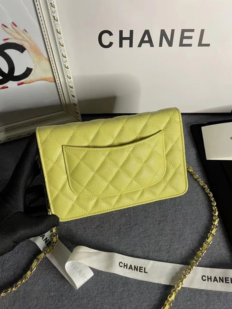 Chanel Satchel Bags 4046H-0166