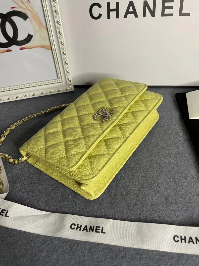 Chanel Satchel Bags 4046H-0166
