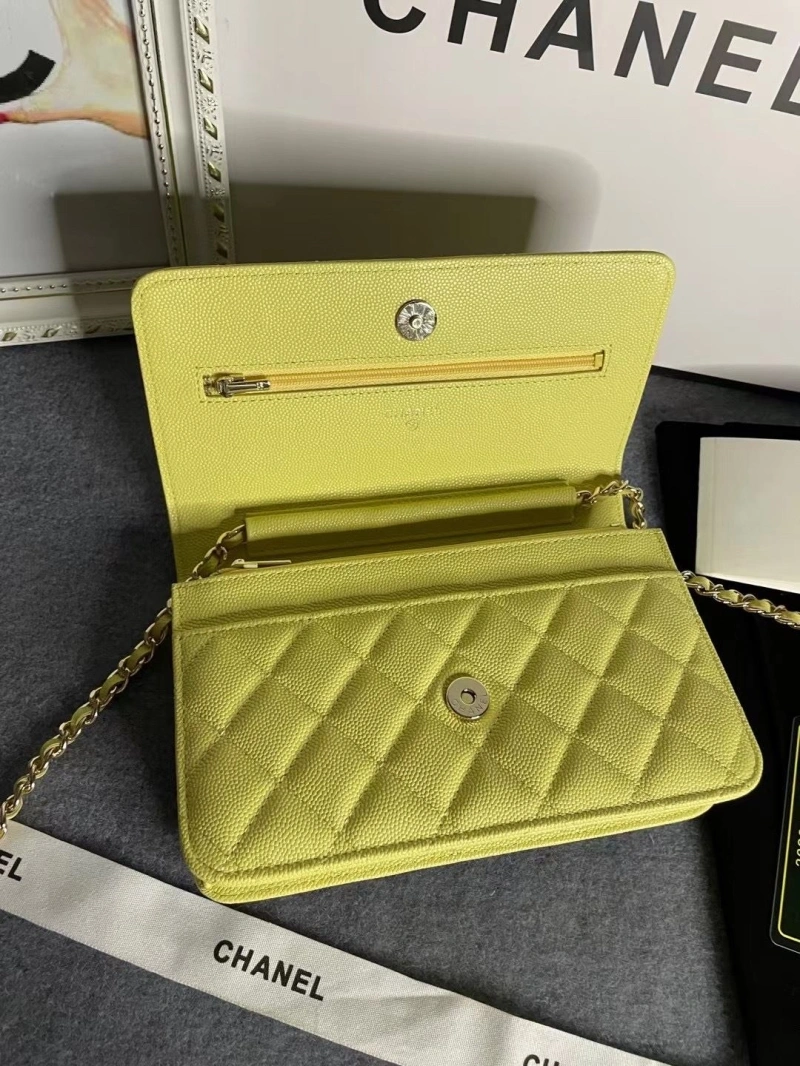 Chanel Satchel Bags 4046H-0166