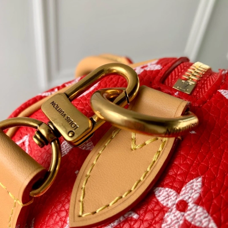 LV Speedy Bags 4048I-0428