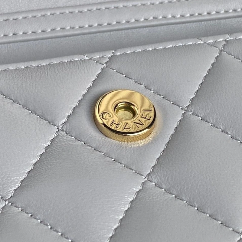 Chanel Satchel Bags 4049H-0058