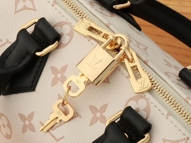 LV Speedy Bags 4081-0896