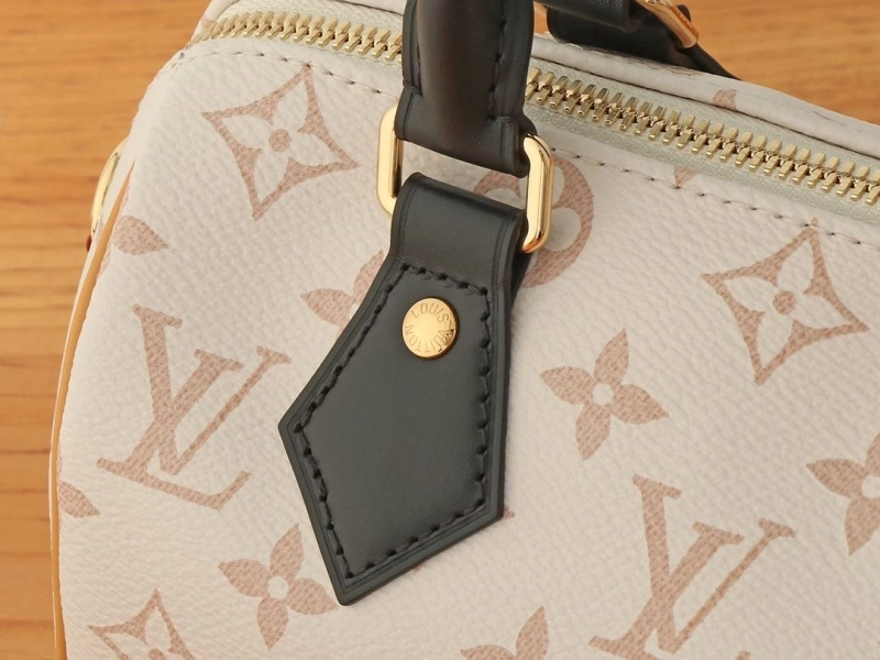 LV Speedy Bags 4081-0896