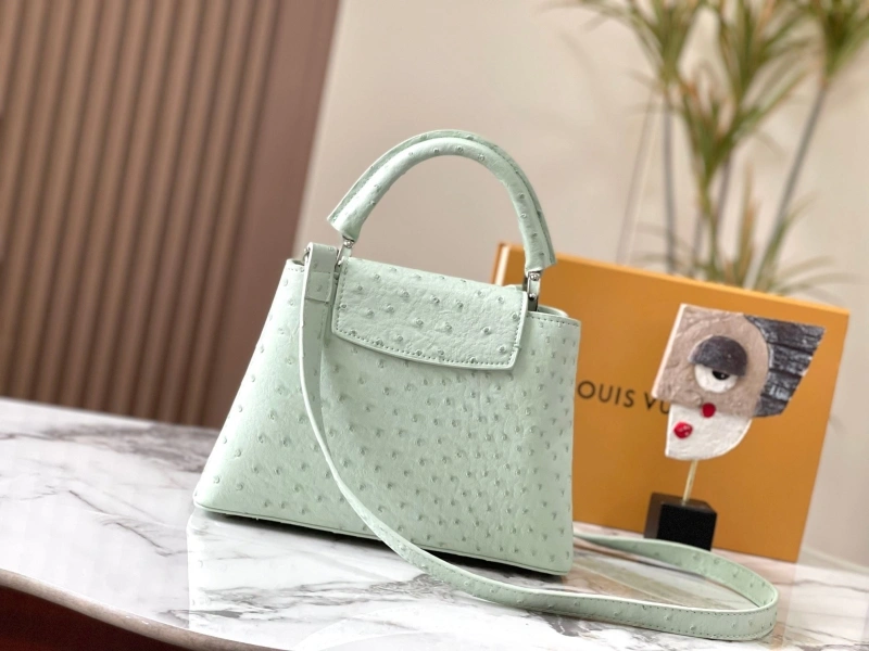 LV Capucines Bags 4081B-0372