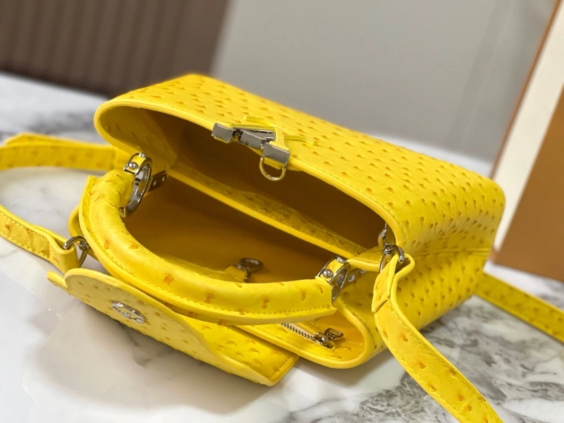 LV Capucines Bags 4081B-0374