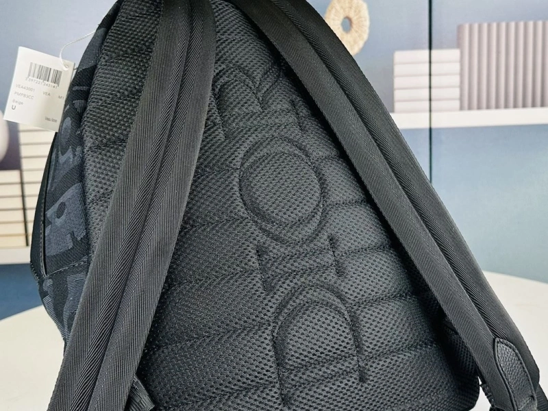 Dior Backpacks 4081B-1680