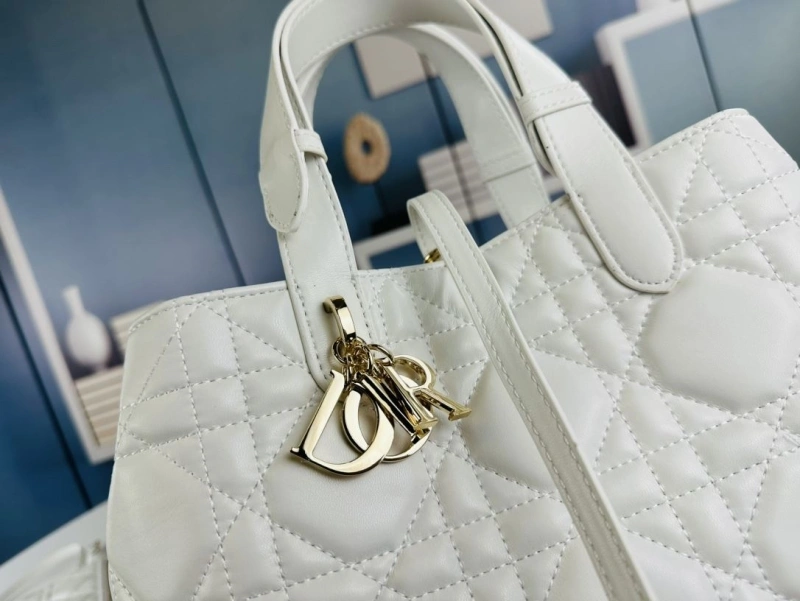 Dior Shopping Bags 4081B-1725