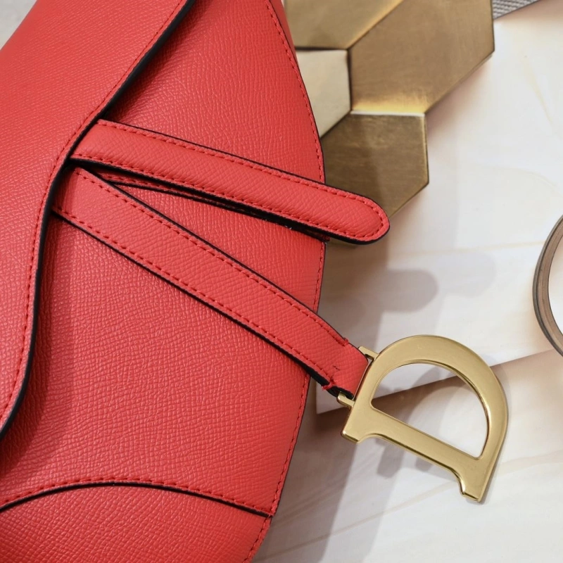 Dior Saddle Bags 4081B-2078