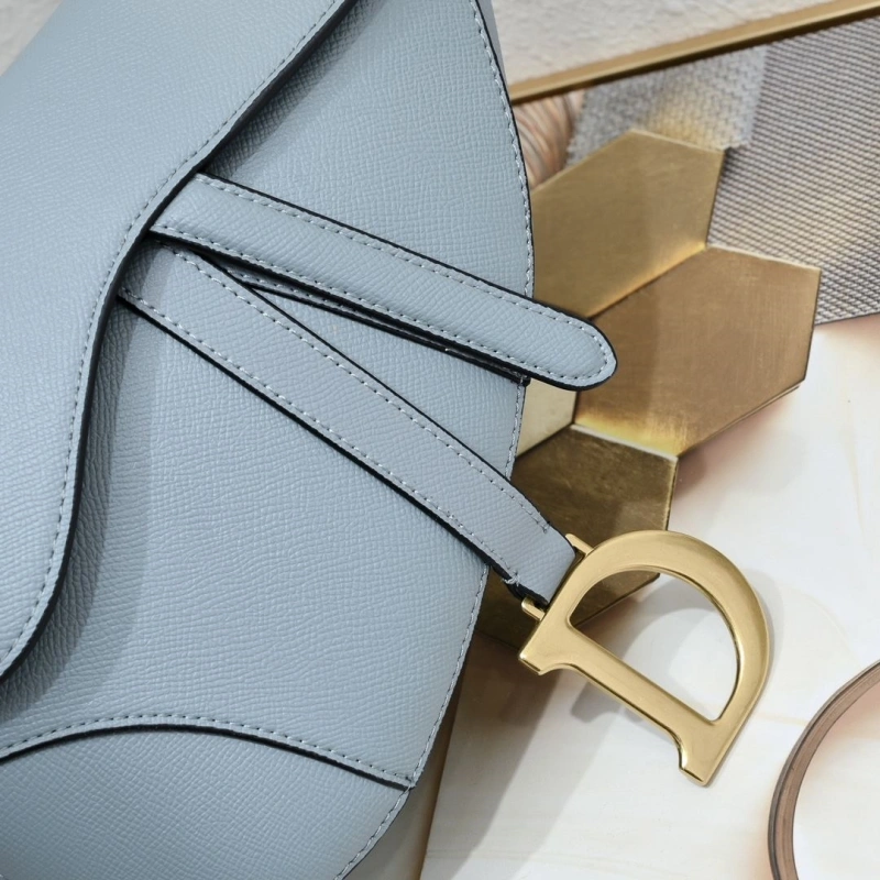 Dior Saddle Bags 4081B-2079