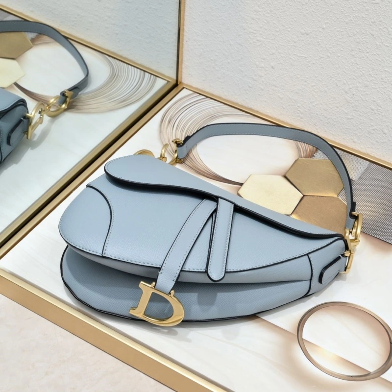 Dior Saddle Bags 4081B-2079