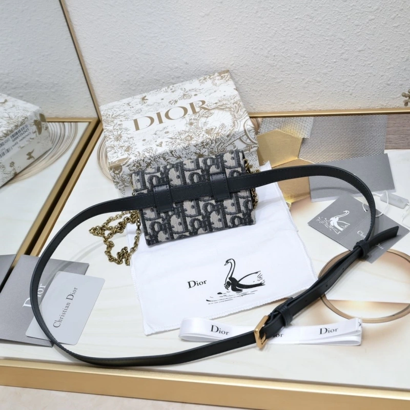 Dior Waist Chest Packs 4081B-2093