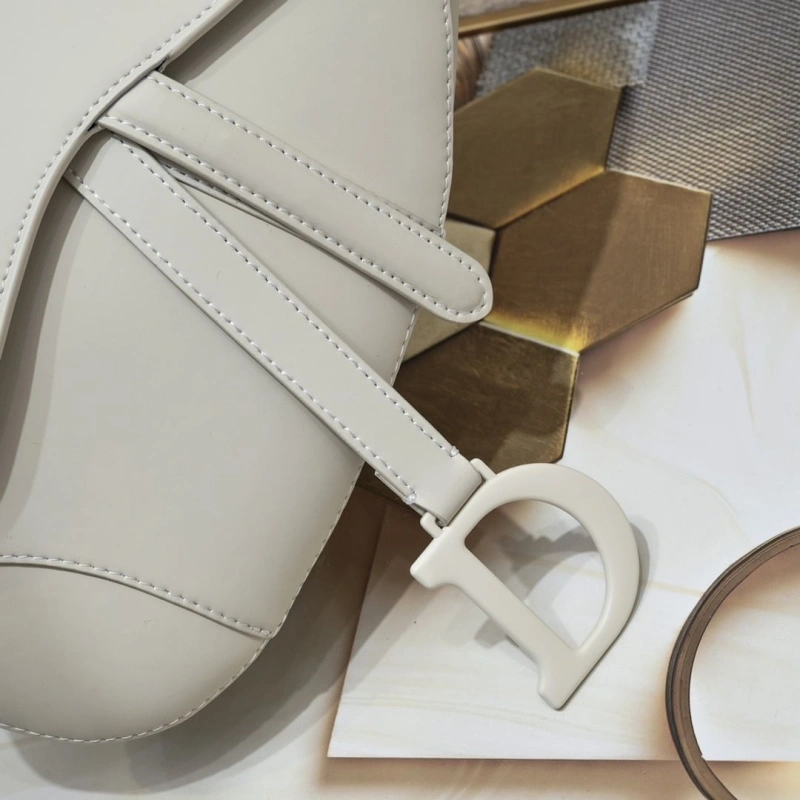 Dior Saddle Bags 4081B-2100