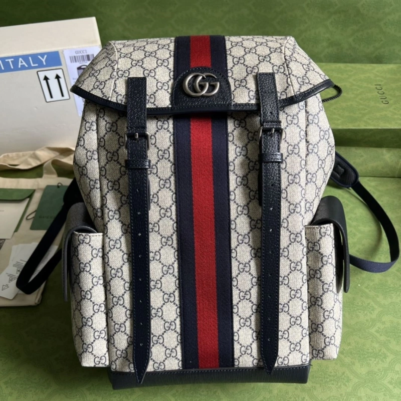 Gucci Backpacks 4094-0411