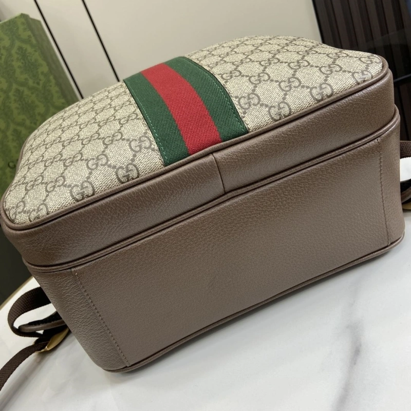 Gucci Backpacks 4094F-0236