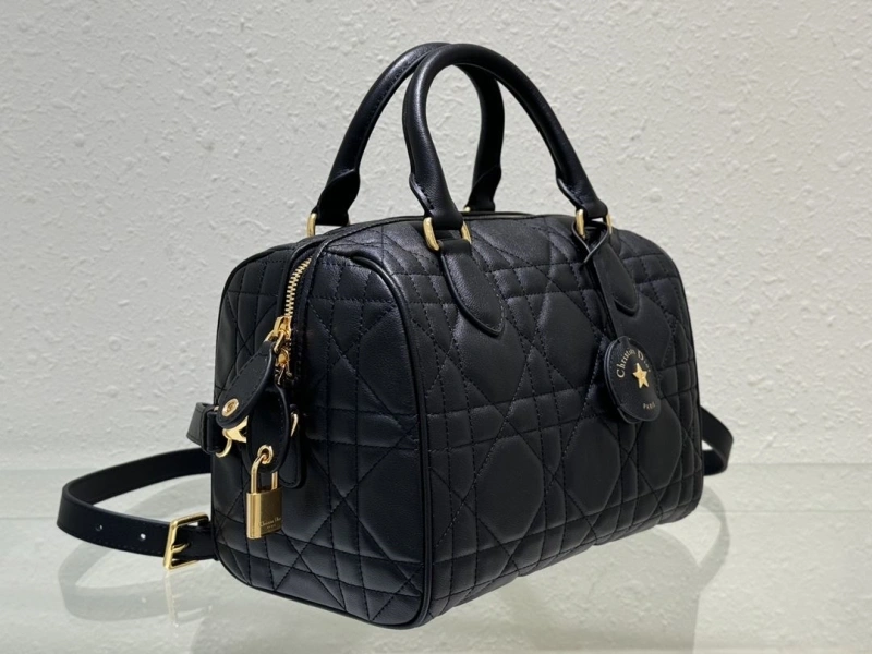 Dior Speedy Bags 4180F-0002